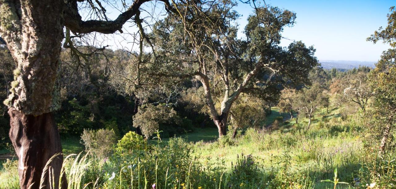 Eco Glamping Portugal Nature Luxuszelt *
