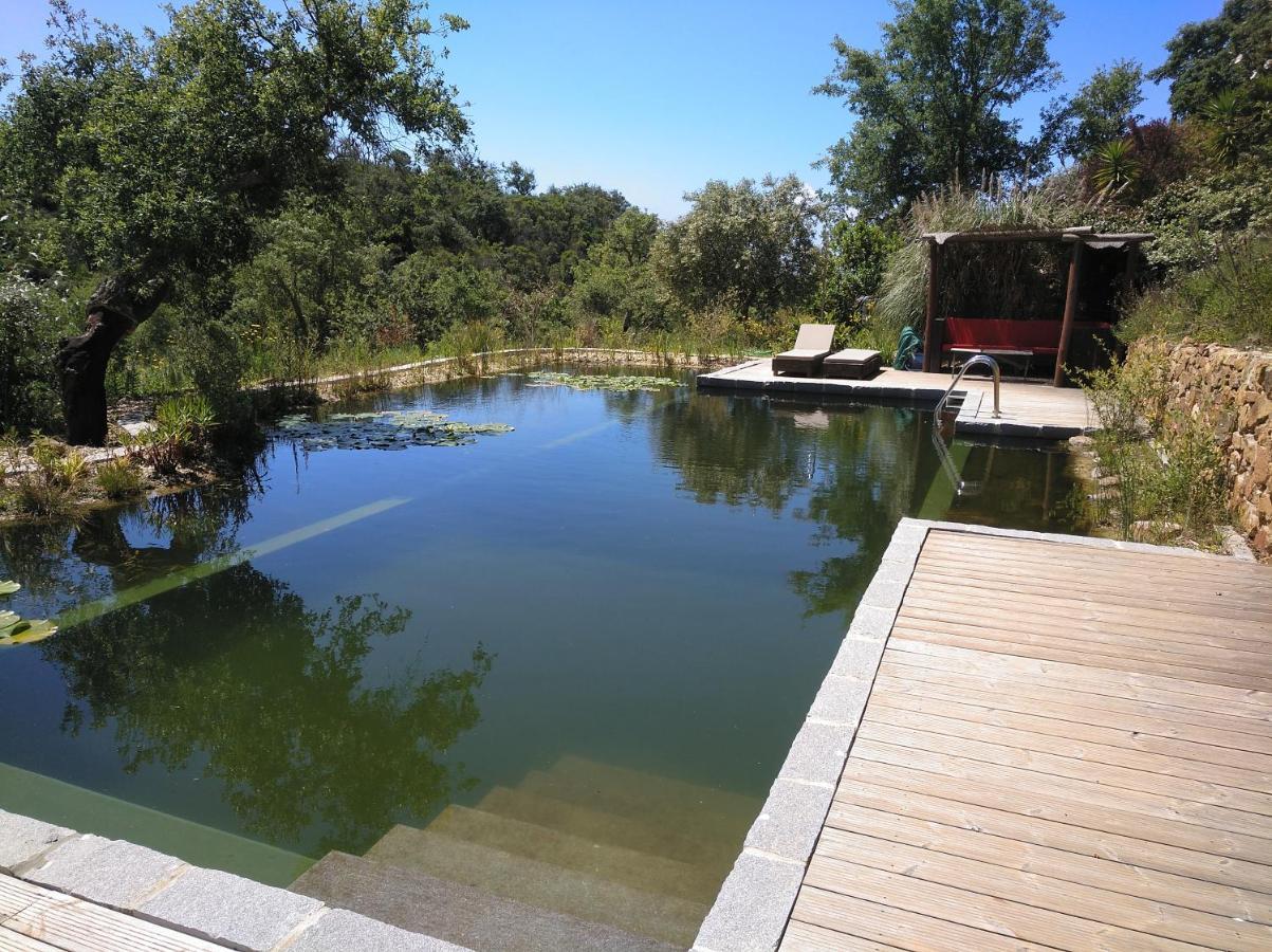 Eco Glamping Portugal Nature