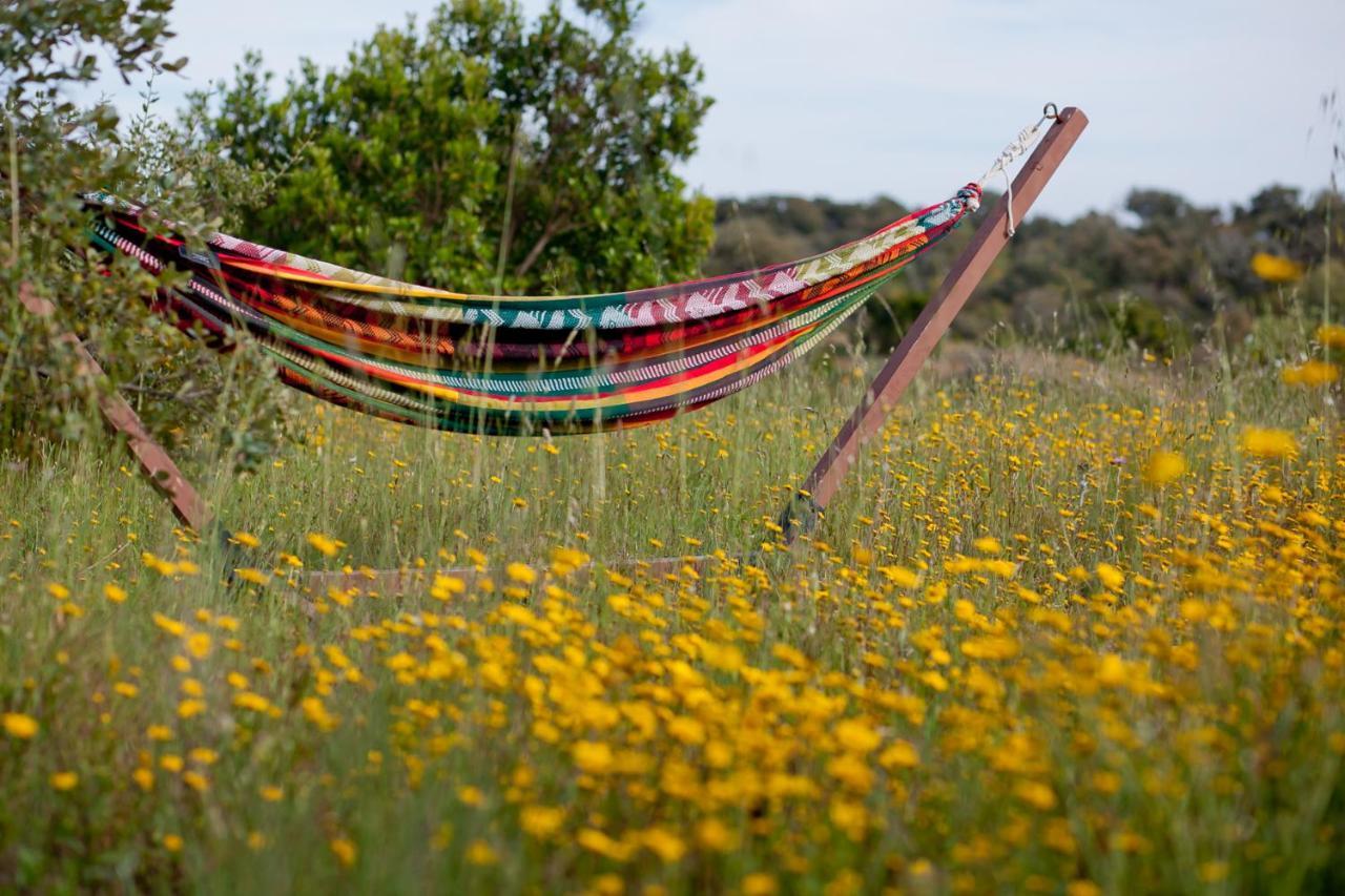 Eco Glamping Portugal Nature *