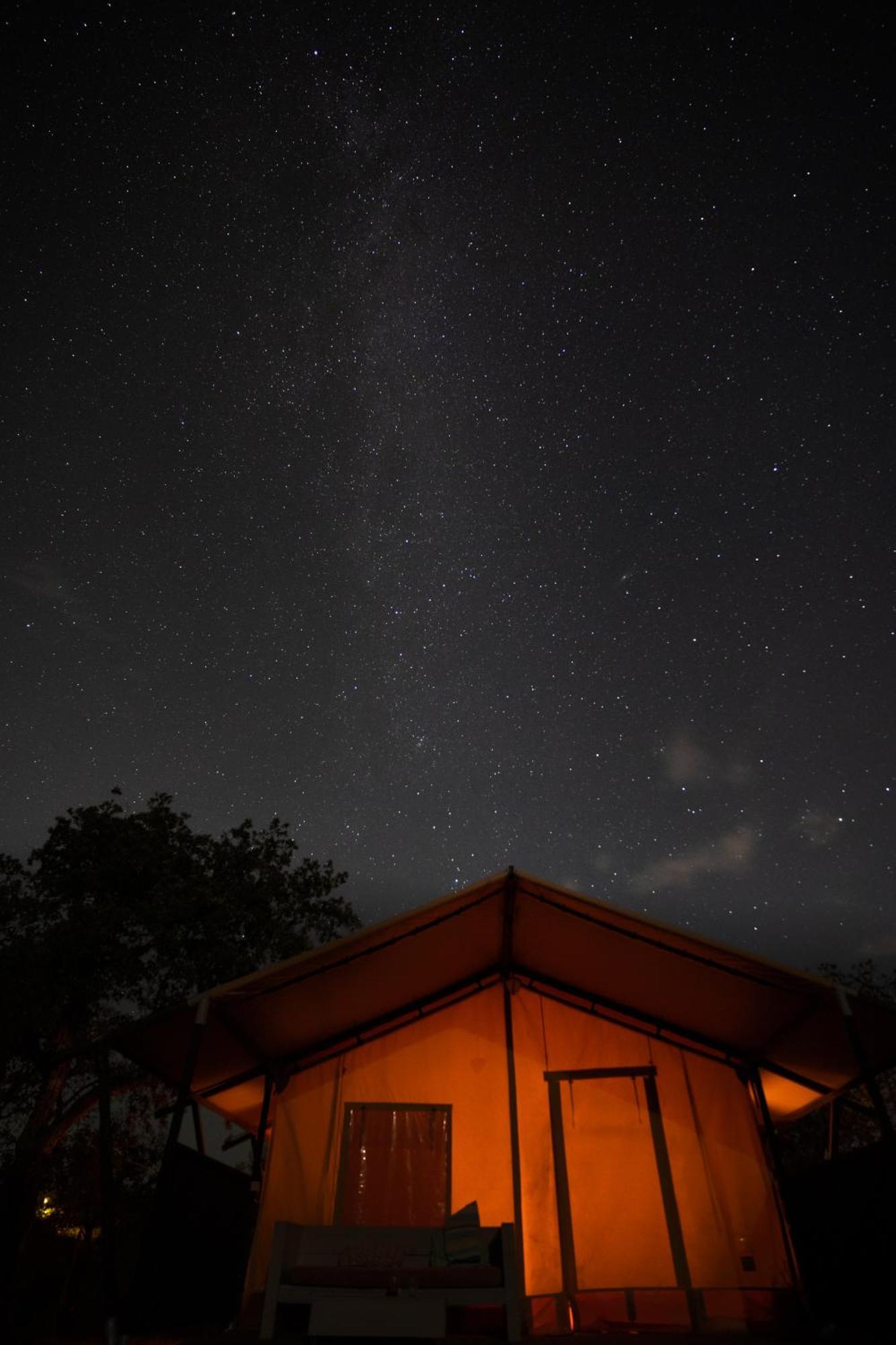 Eco Glamping Portugal Nature