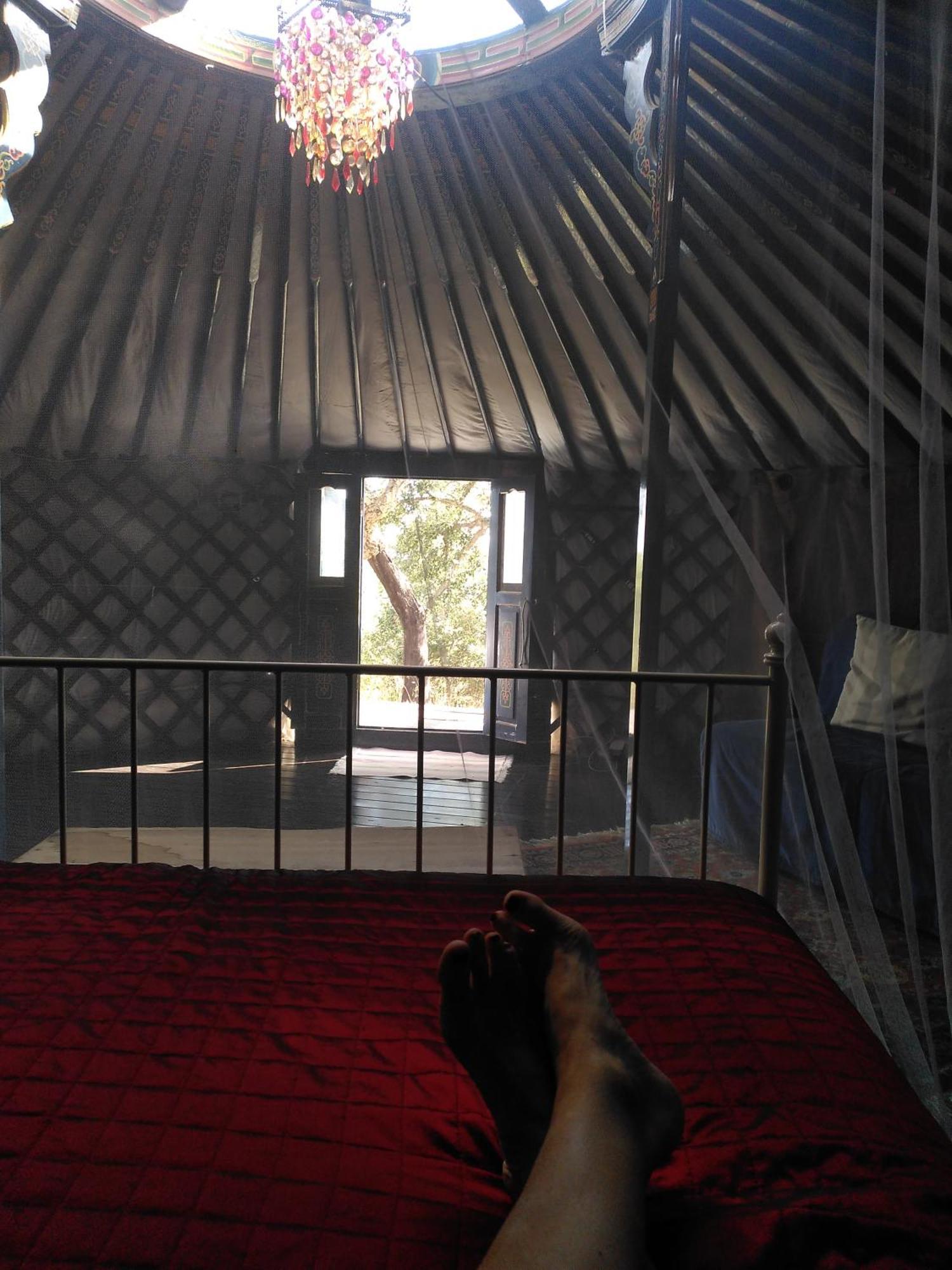 Eco Glamping Portugal Nature São Luís
