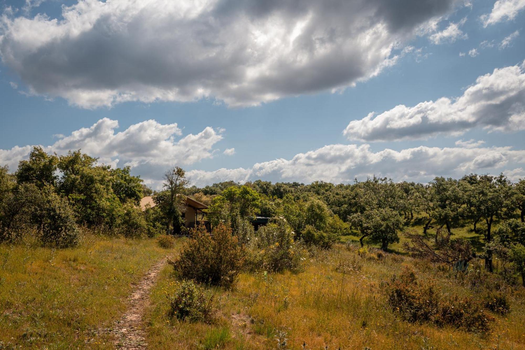 Luxury tent Eco Glamping Portugal Nature