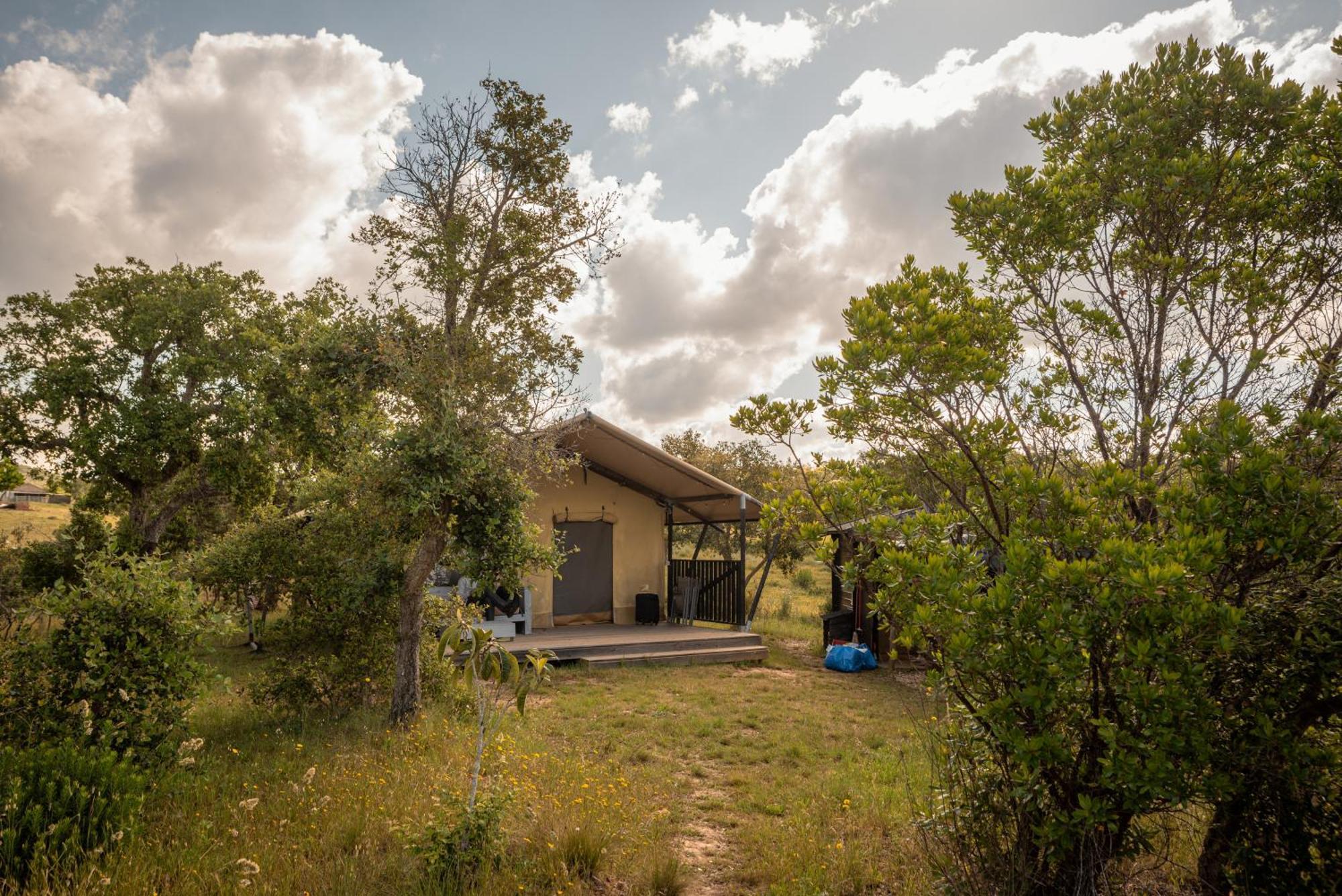 Luxury tent Eco Glamping Portugal Nature