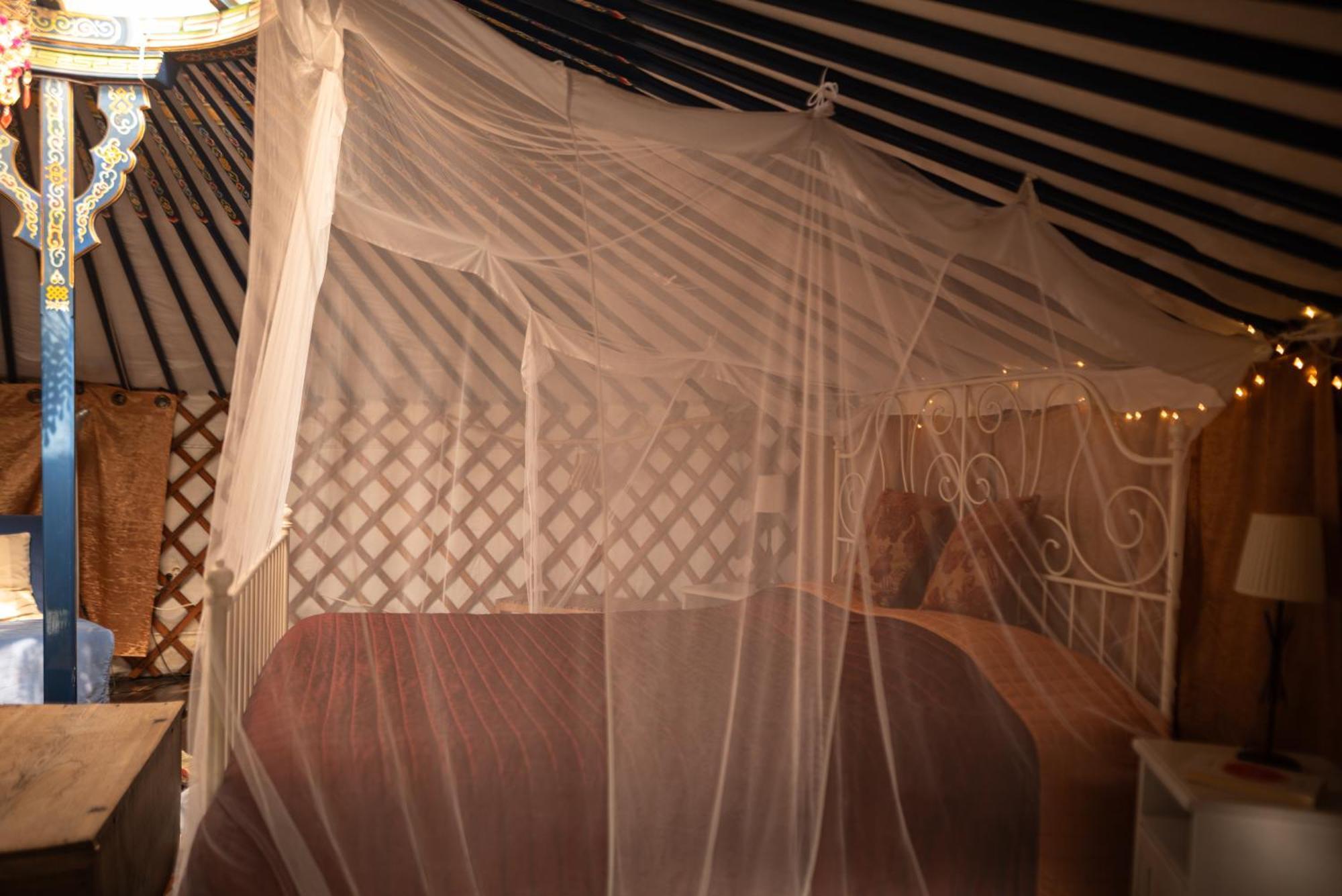Eco Glamping Portugal Nature Tente de luxe